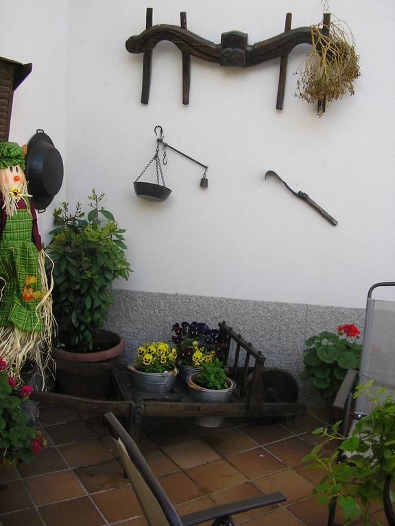 Casa De La Paca Bed and Breakfast Coca Εξωτερικό φωτογραφία
